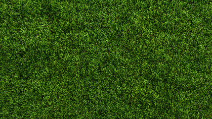 Obraz premium Green grass seamless background texture. Aerial top view of green turf surface from a garden lawn, football pitch, sports field.