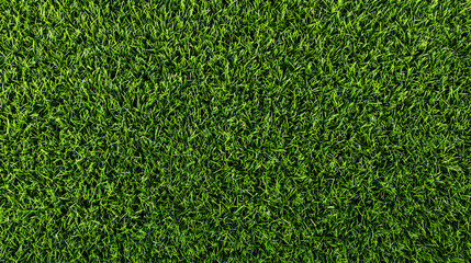 Obraz premium Green grass seamless background texture. Aerial top view of green turf surface from a garden lawn, football pitch, sports field.