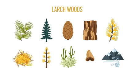 Larch woods forest tree elements illustration. © Faisal