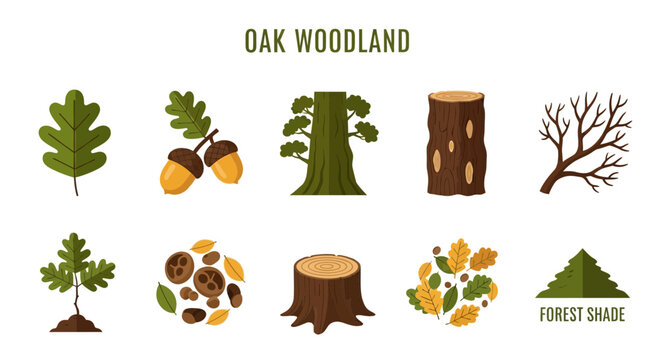 Icon Set Modern Vector of Oak woodland forest tree elements icons.