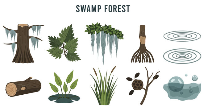 Icon Set of Swamp forest ecosystem illustration set.