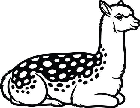 Line Art of a Llama Lying Down with Spotted Fur, Detailed Animal Outline Illustration for Wildlife, Nature, and Animal Graphics