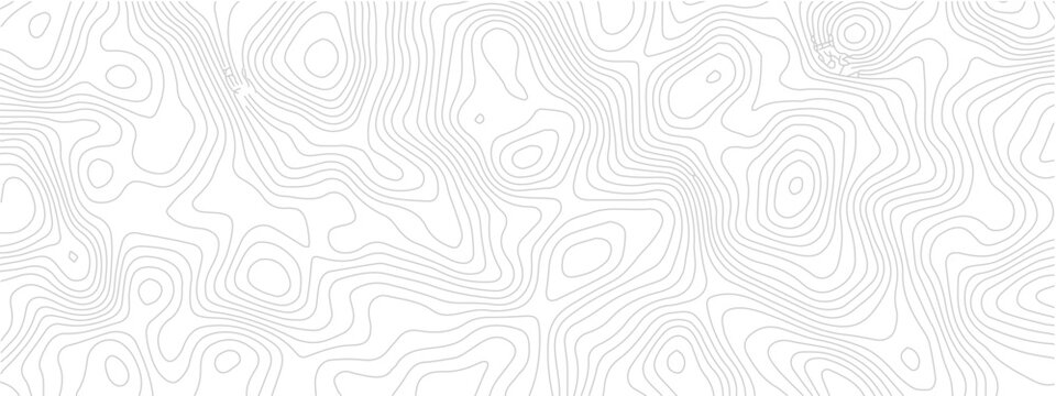 Topographic map contour lines vector illustration of terrain elevation isolated on white background