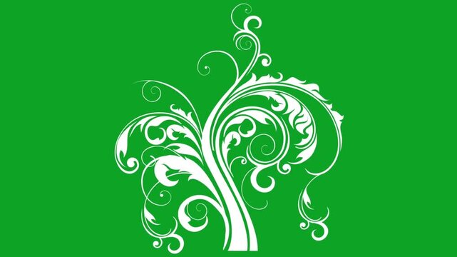 White floral ornament growing animation on green screen background for video decor
