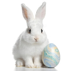 Fototapeta premium White rabbit on bright white with background symbolizing easter joy innocence and new beginnings for spring celebration concepts. 