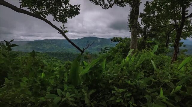 Tazing Dong (also known as Bijoy) is officially recognized as the highest peak in Bangladesh, located in Ruma Upazila, Bandarban, within the Saichol Mountain range.