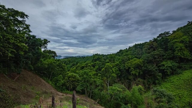 Tazing Dong (also known as Bijoy) is officially recognized as the highest peak in Bangladesh, located in Ruma Upazila, Bandarban, within the Saichol Mountain range.