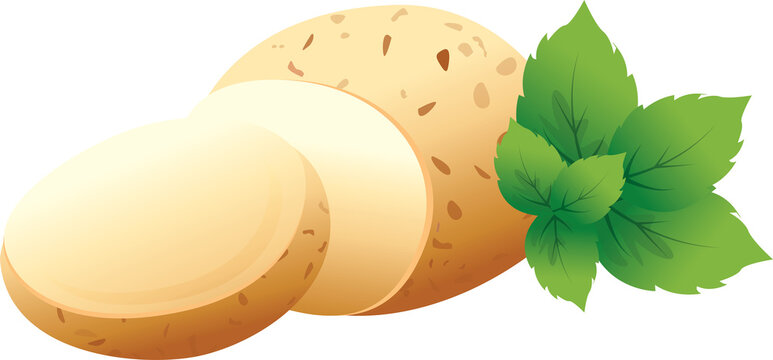 potato, vegetable, food, fresh, slice, whole, ingredient, cooking, kitchen, healthy, organic, nutrition, root, produce, farm, market, vegan, vegetarian, diet, natural, icon, vector, illustration, flat