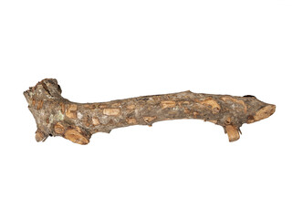 Obraz premium Dry tree branch or log isolated on Transparent background, rough bark texture, natural wood stick with knots, close-up cutout for design elements.