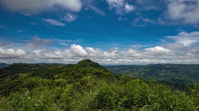 Tazing Dong (also known as Bijoy) is officially recognized as the highest peak in Bangladesh, located in Ruma Upazila, Bandarban, within the Saichol Mountain range.