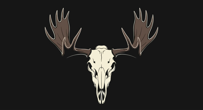 A striking illustration of a moose skull with large antlers, set against a dark background, representing the wild
