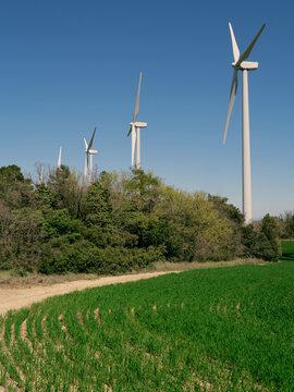 Wind turbines standing near a green agricultural field in rural landscape under clear blue sky. Renewable energy infrastructure in countryside.