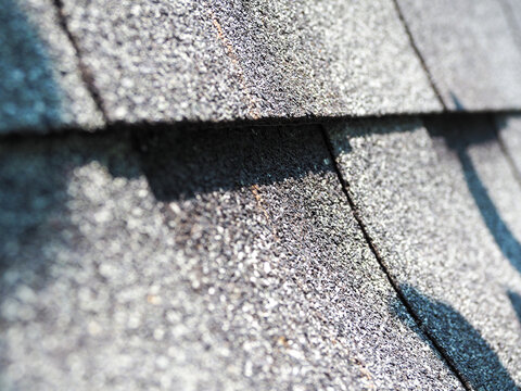 The asphalt roof tile surface has a rough, granular gray texture and shadow details.