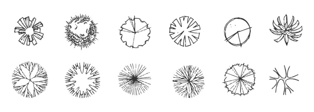 CAD Tree Top View Circular Set, Landscape Plan Tree Symbols, AutoCAD Top View Tree Vector Collection