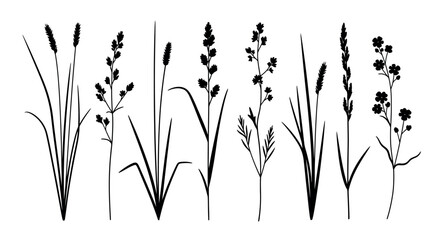 Fototapeta premium Minimalist wheat stalks illustration on white background for design elements