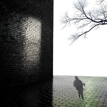A persons shadow on a brick floor with a tree branch and isolated on transparent background