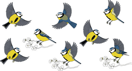 Cartoon birds in colorful vector illustration of flying and perching blue tits with branches and flowers © RUKSHANA