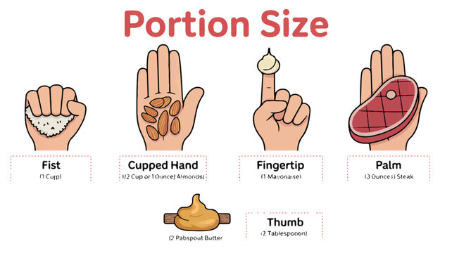 Educational diagram showing various portion sizes using hand measurements