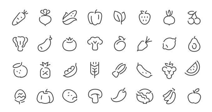 Minimalist fruit and vegetable line icons set. Hand drawn outline healthy food collection symbols