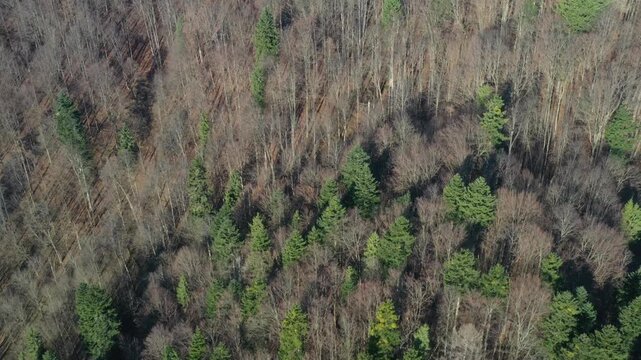 Dolina Popradu, Małopolska, Poland.