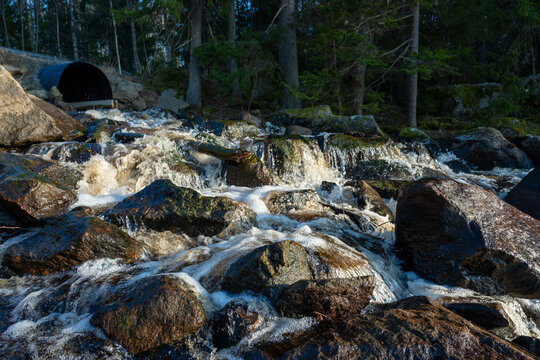 Streaming white water in Swedish forest 2026