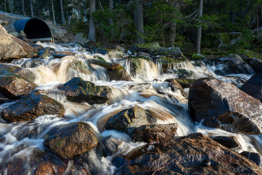 Streaming white water in Swedish forest 2026