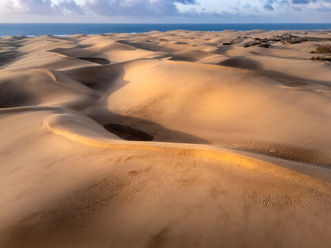 Picturesque sand dunes on ocean coast on sunny day, Maspalomas, Gran Canaria, Spain