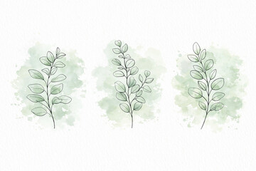 Minimalist watercolor illustration of eucalyptus branches with soft green tones, perfect for botanical design, wedding stationery and natural aesthetic backgrounds.