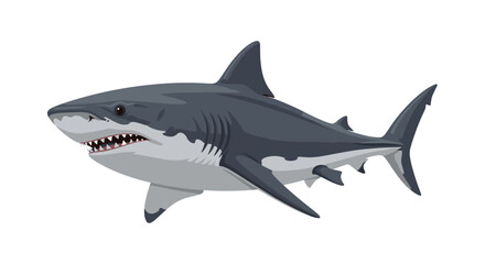 Fototapeta premium A detailed side-view illustration of a powerful great white shark swimming through the water with its mouth slightly open revealing rows of sharp teeth.