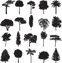 Fototapeta premium Diverse Tree Silhouettes: An array of detailed silhouettes, perfect for adding an element of nature to any design. Displaying different tree types