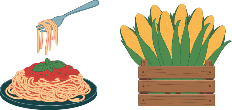 Delicious spaghetti pasta with tomato sauce and basil on plate with fork lifting noodles vector illustration for Italian food menu design