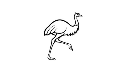 Fototapeta premium Ostrich, bird illustration, black and white line art, animal drawing