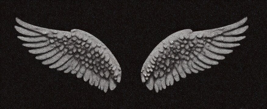 Chic halftone photocopy stipple effect grunge collage featuring ethereal feathered wings on contrasting backgrounds.