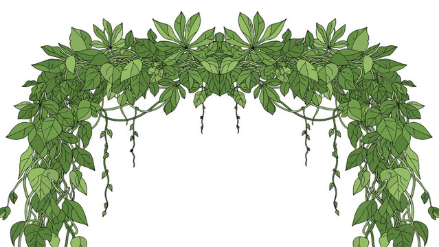 Lush frame of hanging green vines and tropical leaves creating a natural botanical border against a white background.