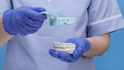 Dentist in blue gloves holding a dental impression tray and a plaster model of teeth.