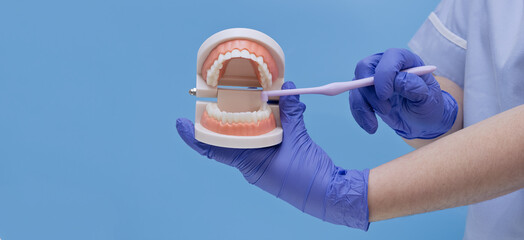 Dentist showing how to brush teeth correctly on a dental jaw model.