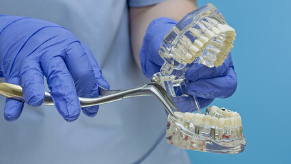 Oral surgery concept. Doctor hands holding dental extraction forceps and transparent teeth typodont.