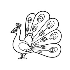 Fototapeta premium A black and white drawing of a peacock