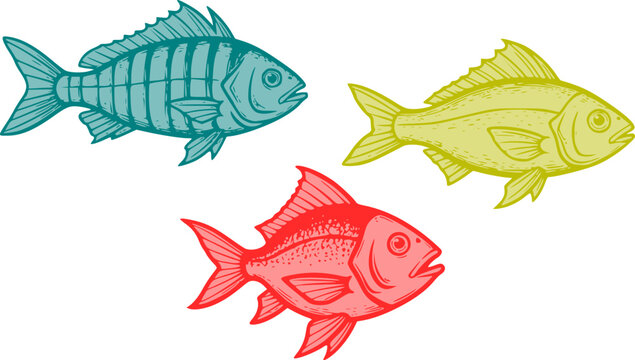  Two-tone woodcut and linocut style drawing of fishes. Colorful vintage fish vector set in engraving style.