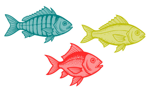  Two-tone woodcut and linocut style drawing of fishes. Colorful vintage fish vector set in engraving style.