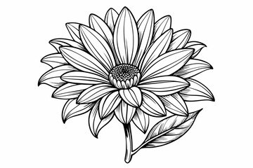Fototapeta premium coloring page line art the gazania flower black vector