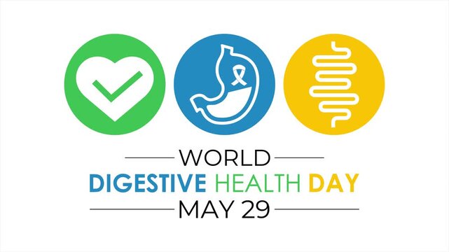 Clean digestive health awareness animation featuring stomach icon and modern medical symbols in flat vector style. Health concept and smooth motion graphics design. 4k video animation