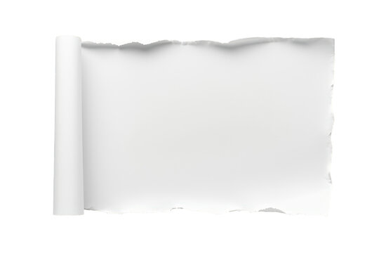 Rolled paper revealing torn edges and blank copy space, a white scroll template for text and design on transparent background
