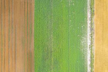 Aerial view of diverse farm fields from above The Concept of Agriculture © VicVaz