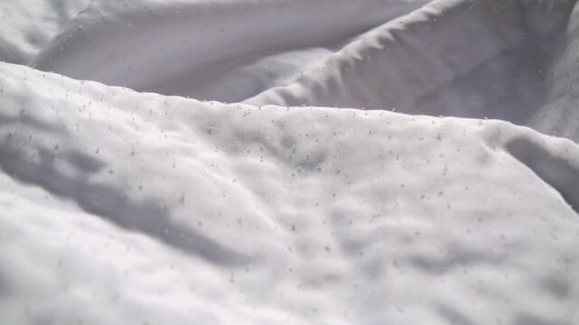 布地の表面についた無数の毛玉