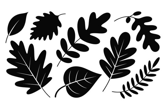 Stylized black silhouettes of various autumn leaves arranged in a decorative pattern isolated on white background