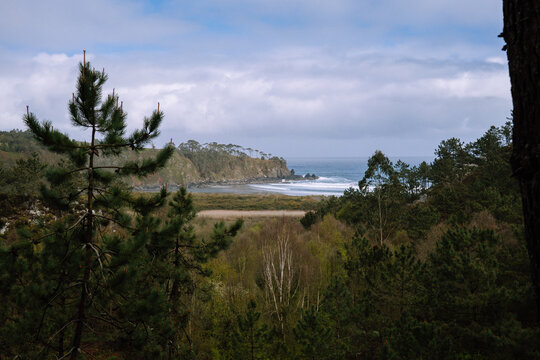 Reserva Natural de Barayo. Playa reserva natural de Barayo. Bosque y playa de Asturias. 