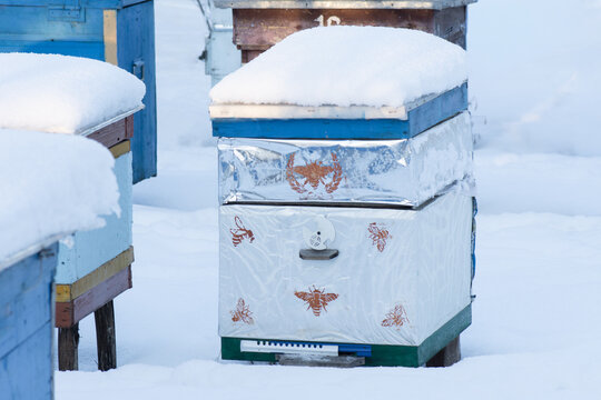 Hives in the apiary are covered with loose snow in winter. Beekeeping to obtain honey, wax and propolis.