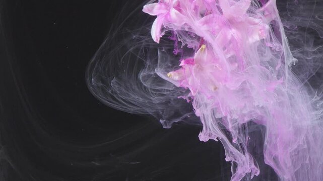 Pink blossom engulfed in ink, underwater dispersion creating vivid pastel clouds, turbulent currents mixing pigment with fragile petals, high speed