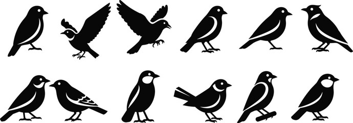 Obraz premium Set of bird silhouettes in various poses flying perching and standing, simple black icons for wildlife design, nature branding, logo, illustration, and decorative use